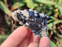 Natural Schorl Black Tourmaline Specimens x 12 From Namibia