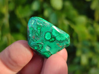 Polished Flower Banded Malachite Free Forms x 70 From Congo - Toprock Gemstones and Minerals 
