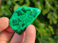 Polished Flower Banded Malachite Free Forms x 70 From Congo - Toprock Gemstones and Minerals 