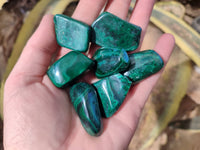 Polished Flower Banded Malachite Free Forms x 70 From Congo - Toprock Gemstones and Minerals 