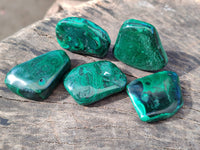 Polished Flower Banded Malachite Free Forms x 70 From Congo - Toprock Gemstones and Minerals 