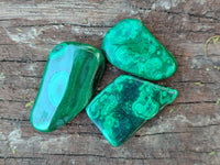 Polished Flower Banded Malachite Free Forms x 70 From Congo - Toprock Gemstones and Minerals 