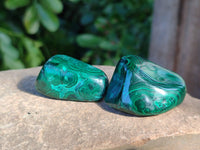 Polished Flower Banded Malachite Free Forms x 70 From Congo - Toprock Gemstones and Minerals 