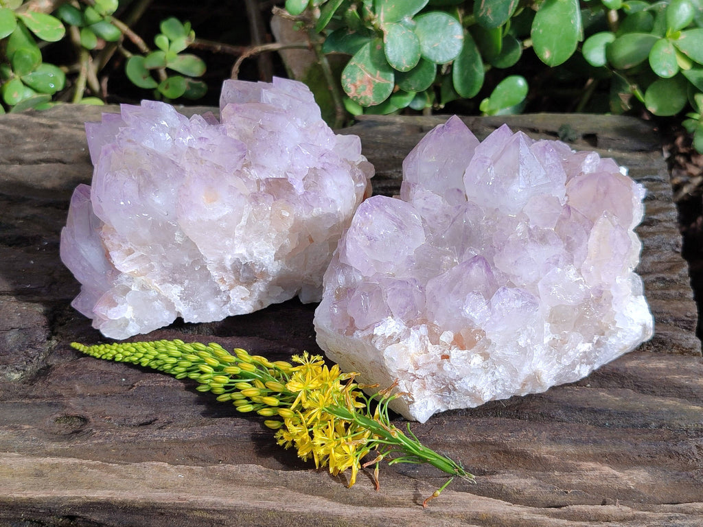 Natural Amethyst Spirit Quartz Clusters x 2 From South Africa - Toprock Gemstones and Minerals 