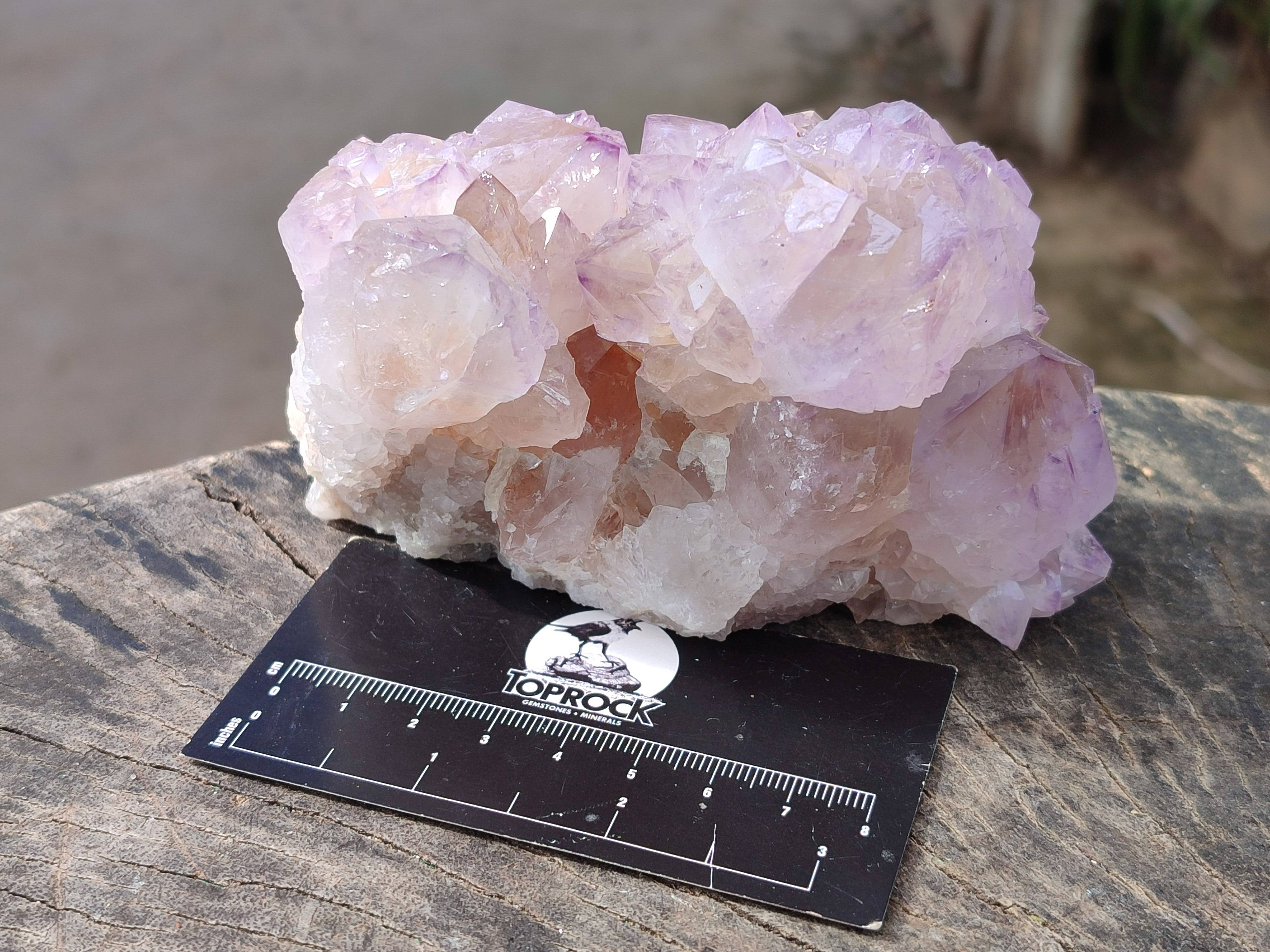 Natural Amethyst Spirit Quartz Clusters x 2 From South Africa - Toprock Gemstones and Minerals 