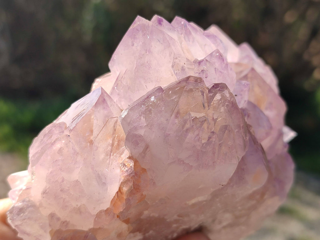 Natural Amethyst Spirit Quartz Clusters x 2 From South Africa - Toprock Gemstones and Minerals 