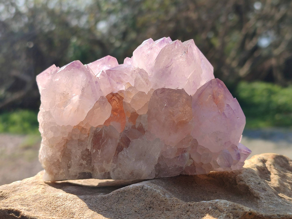 Natural Amethyst Spirit Quartz Clusters x 2 From South Africa - Toprock Gemstones and Minerals 