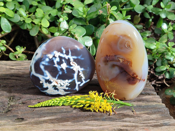 Polished Orca Agate Standing Free Forms x 2 From Madagascar