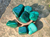 Polished Flower Banded Malachite Free Forms x 35 From Congo - Toprock Gemstones and Minerals 