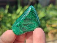 Polished Flower Banded Malachite Free Forms x 35 From Congo - Toprock Gemstones and Minerals 