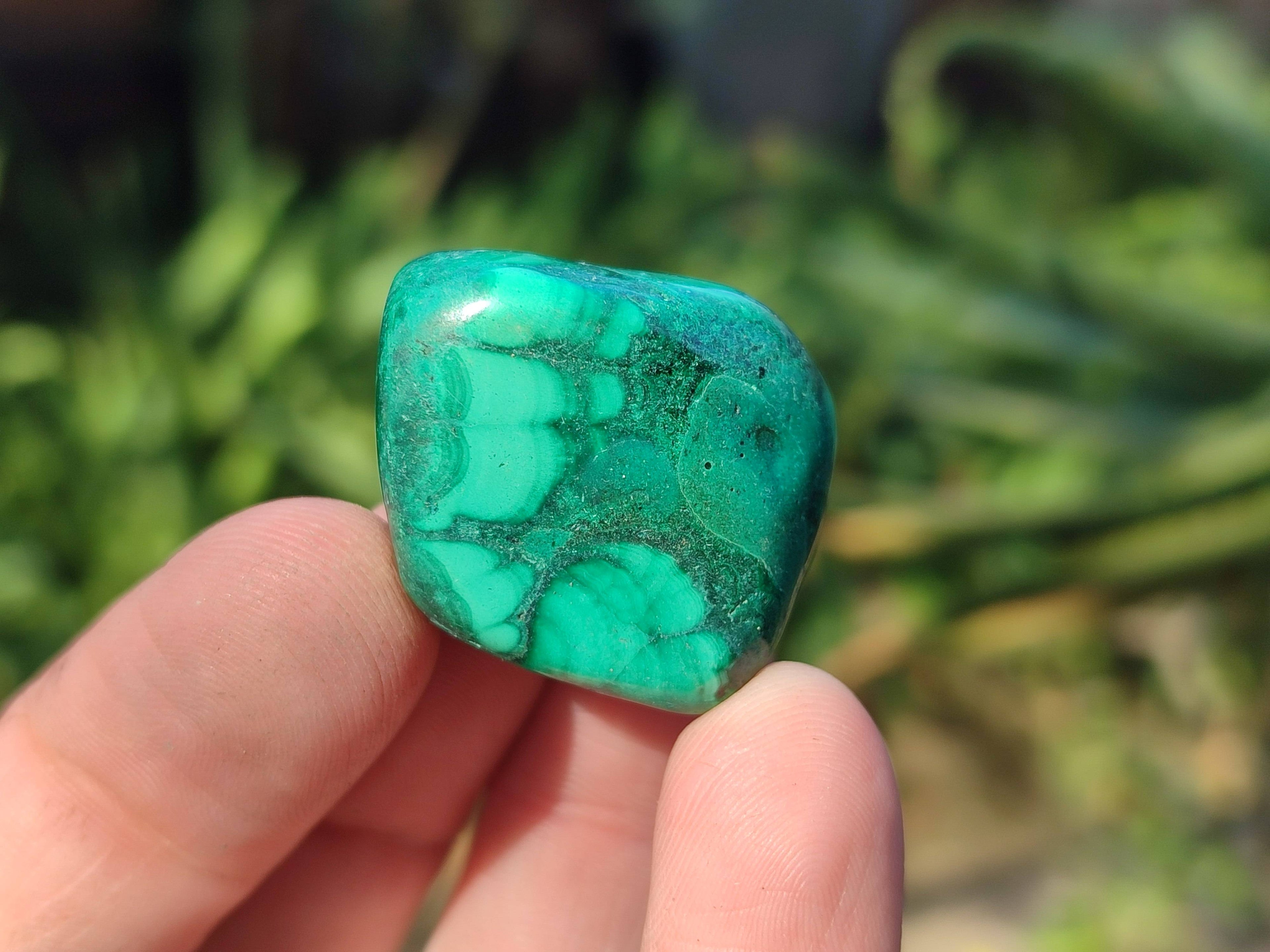 Polished Flower Banded Malachite Free Forms x 35 From Congo - Toprock Gemstones and Minerals 