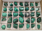 Polished Flower Banded Malachite Free Forms x 35 From Congo - Toprock Gemstones and Minerals 