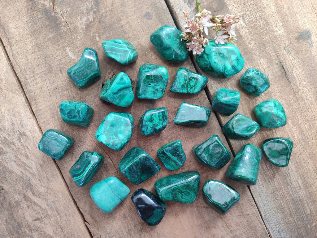 Polished Flower Banded Malachite Free Forms x 35 From Congo - Toprock Gemstones and Minerals 