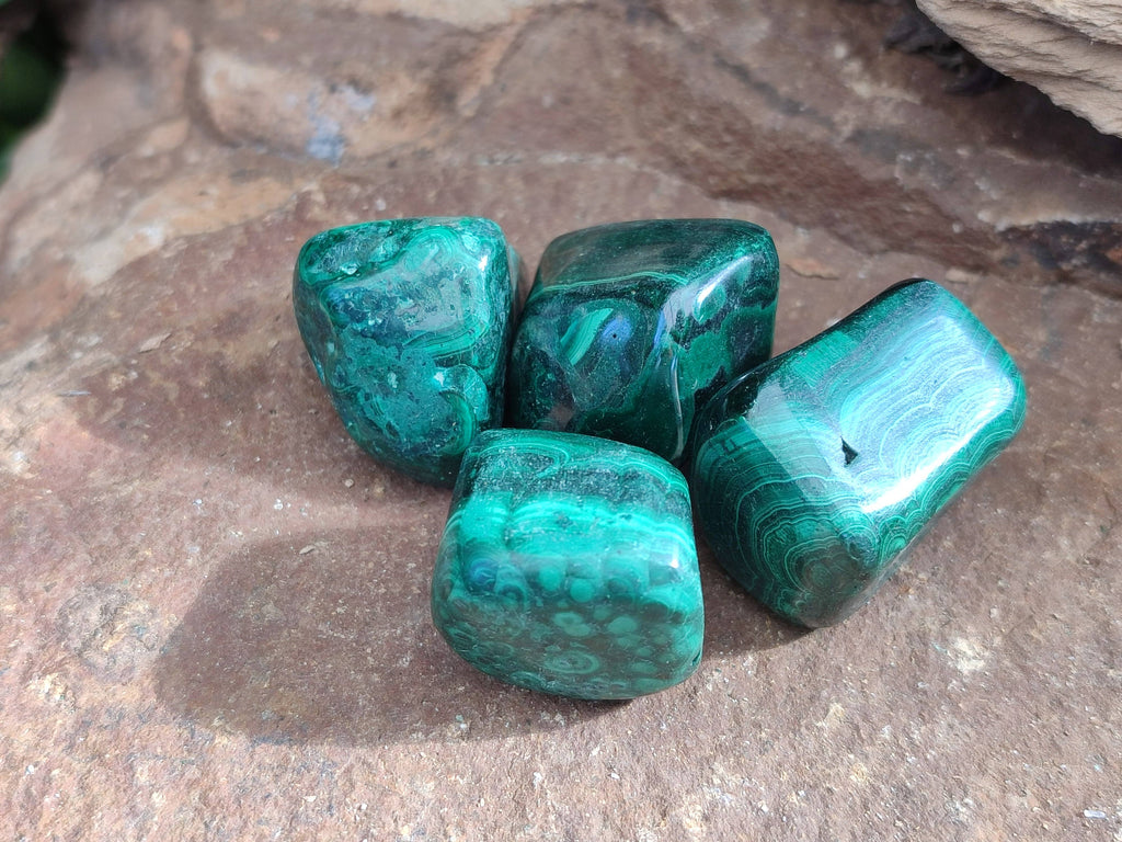 Polished Flower Banded Malachite Free Forms x 35 From Congo - Toprock Gemstones and Minerals 