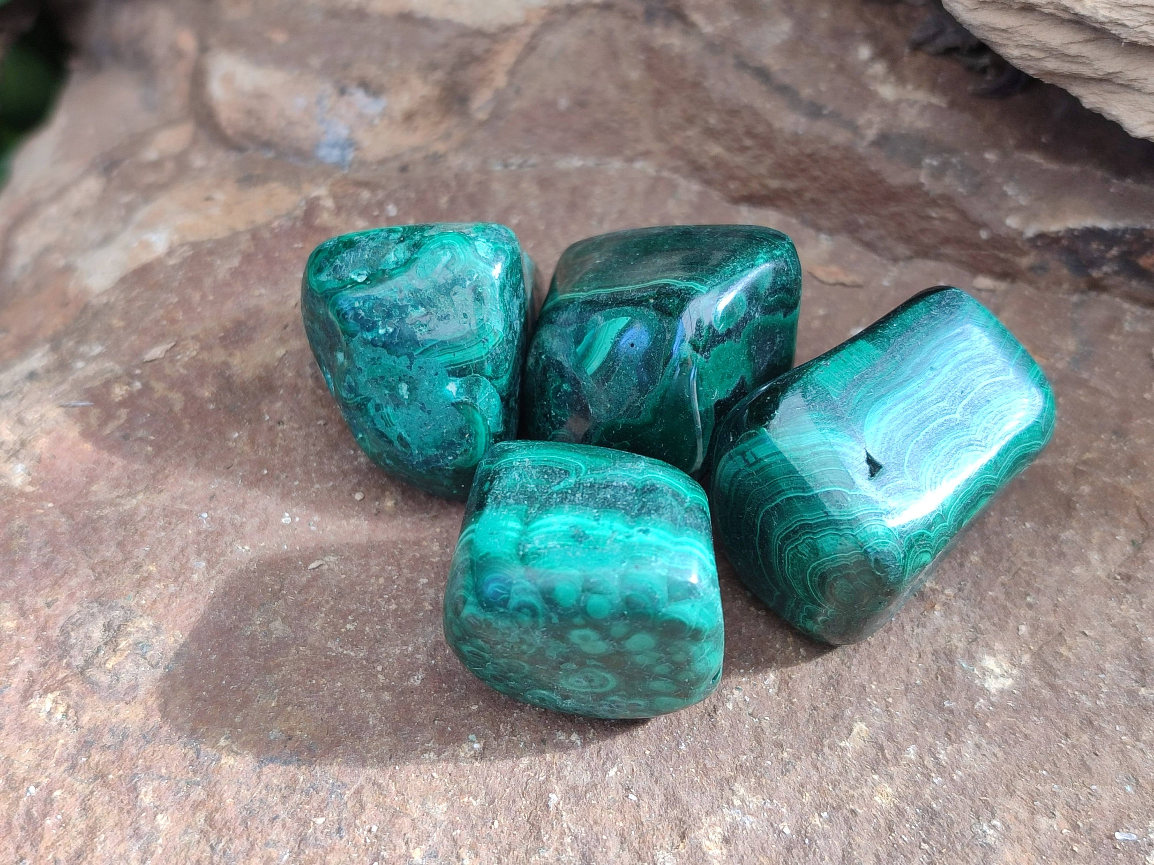 Polished Flower Banded Malachite Free Forms x 35 From Congo - Toprock Gemstones and Minerals 