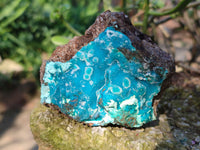 Natural Drusy Coated Chrysocolla Specimens x 3 From Lupoto Mine, Congo