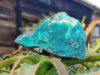 Natural Drusy Coated Chrysocolla Specimens x 3 From Lupoto Mine, Congo
