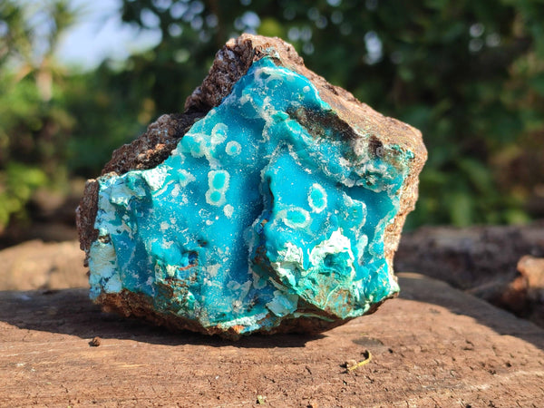 Natural Drusy Coated Chrysocolla Specimens x 3 From Lupoto Mine, Congo