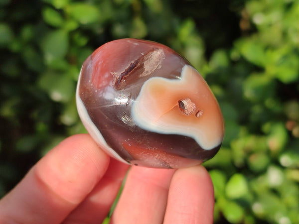 Polished Red Sashe River Agate Palm Stones x 12 From Zimbabwe