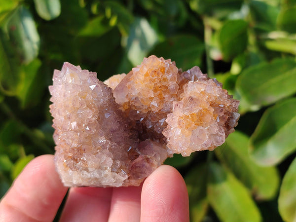 Natural Amethyst Spirit Quartz Clusters x 12 From South Africa