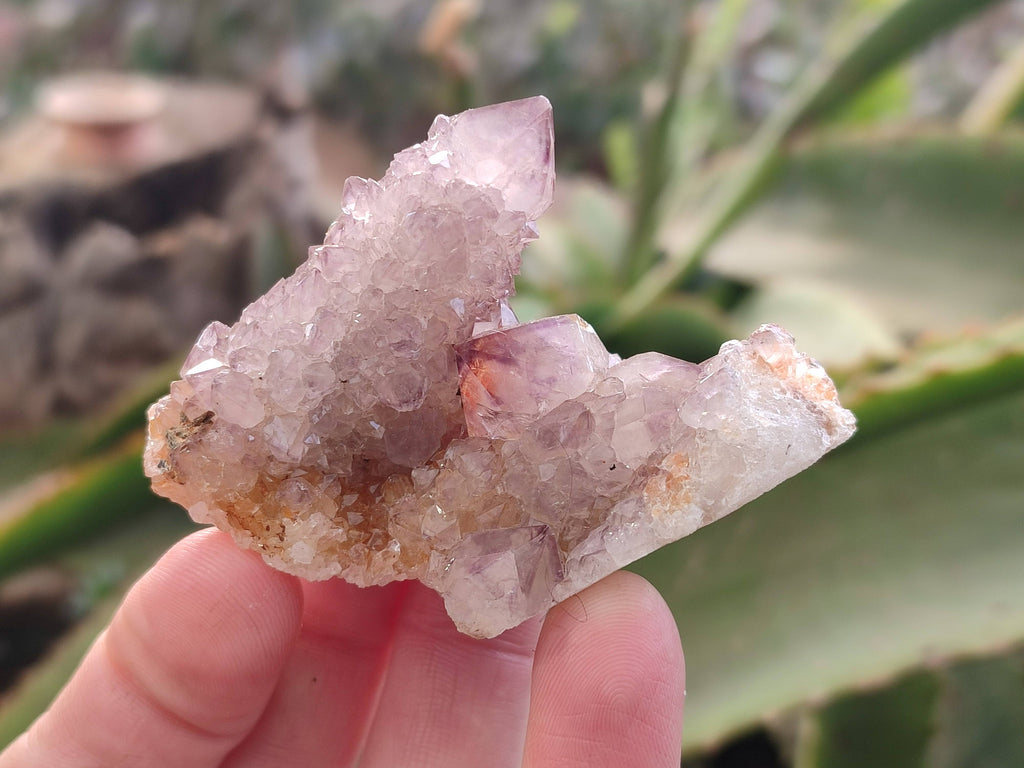 Natural Amethyst Spirit Quartz Clusters x 12 From South Africa - Toprock Gemstones and Minerals 