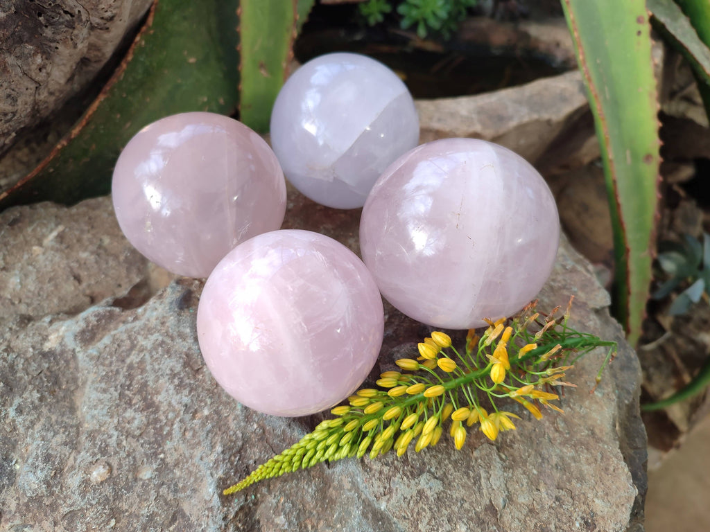 Polished Rose Quartz Spheres x 4 From Madagascar - Toprock Gemstones and Minerals 
