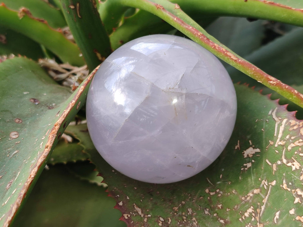 Polished Rose Quartz Spheres x 4 From Madagascar - Toprock Gemstones and Minerals 