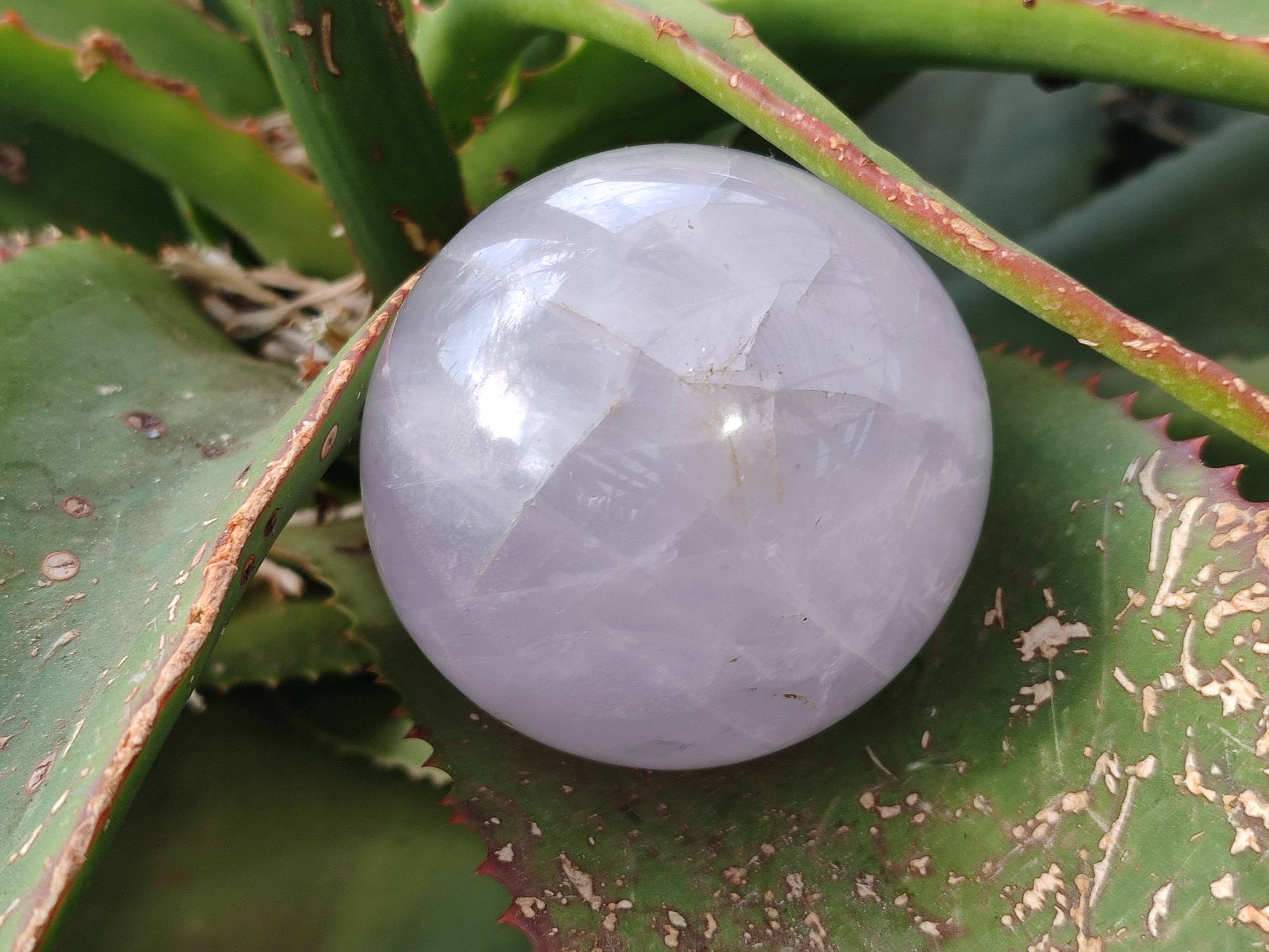 Polished Rose Quartz Spheres x 4 From Madagascar - Toprock Gemstones and Minerals 