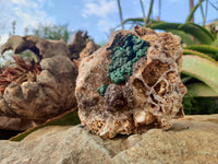 Natural Ball Malachite On Dolomite Matrix Specimen x 1 From Kambove, Congo