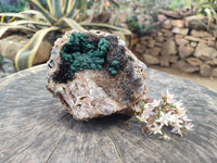 Natural Ball Malachite On Dolomite Matrix Specimen x 1 From Kambove, Congo