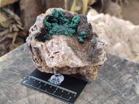 Natural Ball Malachite On Dolomite Matrix Specimen x 1 From Kambove, Congo