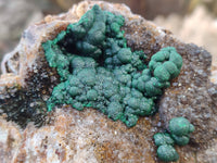 Natural Ball Malachite On Dolomite Matrix Specimen x 1 From Kambove, Congo