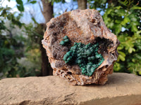 Natural Ball Malachite On Dolomite Matrix Specimen x 1 From Kambove, Congo