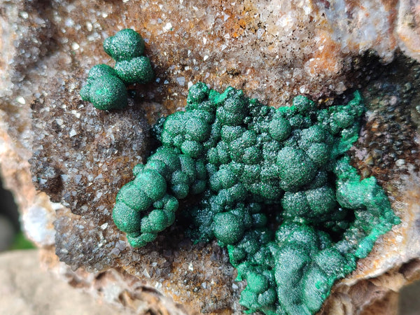 Natural Ball Malachite On Dolomite Matrix Specimen x 1 From Kambove, Congo
