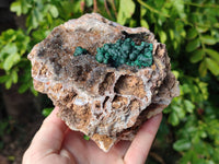 Natural Ball Malachite On Dolomite Matrix Specimen x 1 From Kambove, Congo