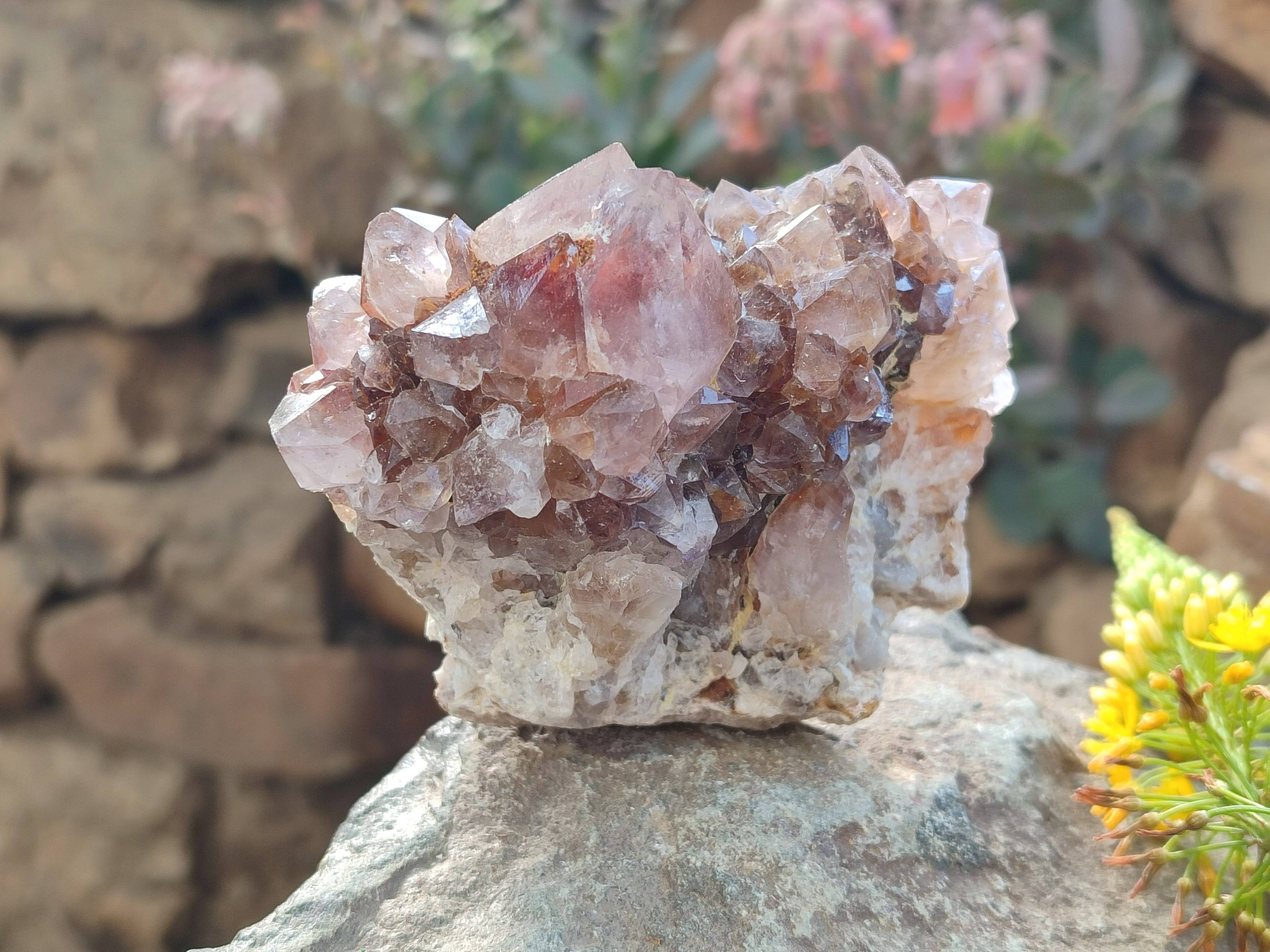 Natural Amethyst Spirit Quartz Clusters x 6 From South Africa - Toprock Gemstones and Minerals 