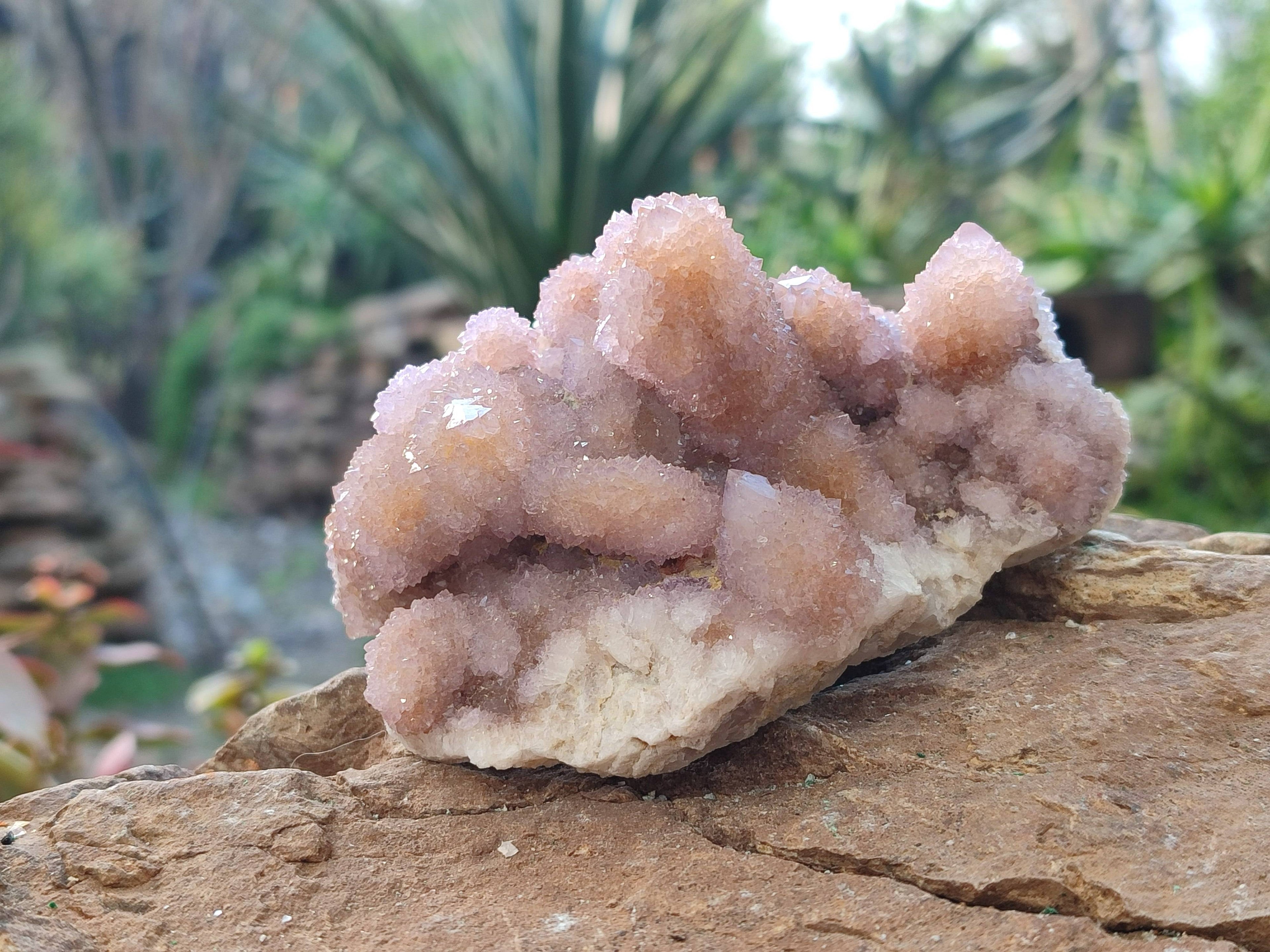 Natural Amethyst Spirit Quartz Clusters x 6 From South Africa - Toprock Gemstones and Minerals 