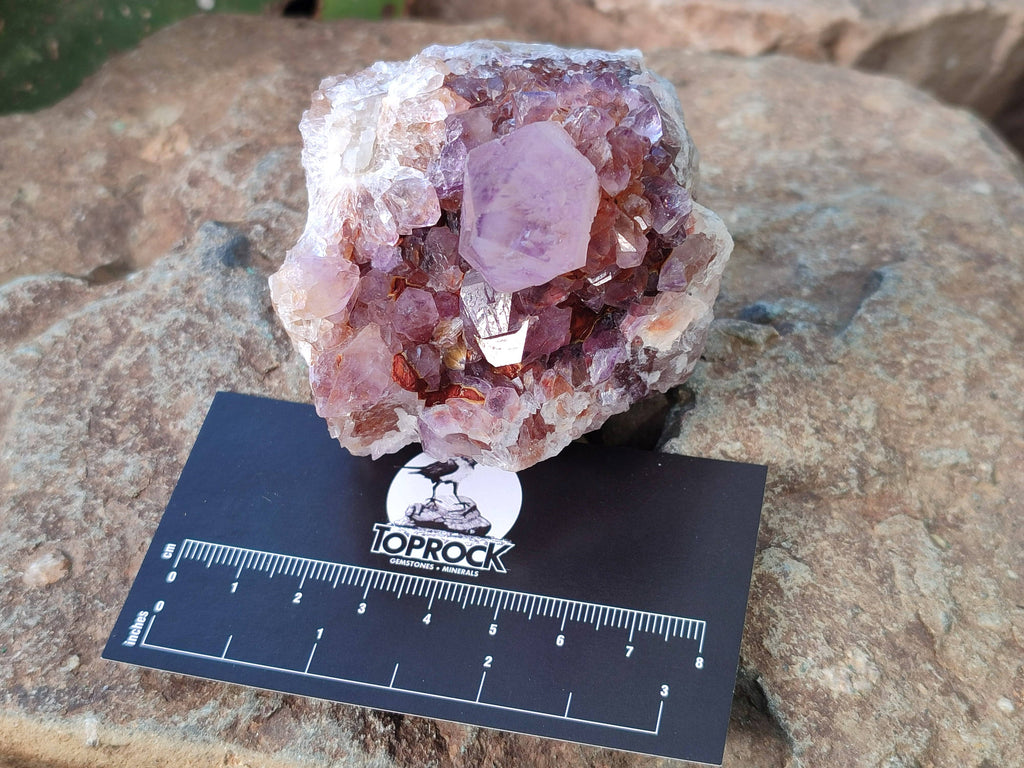 Natural Amethyst Spirit Quartz Clusters x 6 From South Africa - Toprock Gemstones and Minerals 