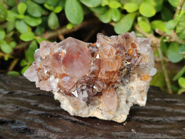 Natural Amethyst Spirit Quartz Clusters x 6 From South Africa