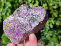 Natural Stichtite and Serpentine Specimens x 6 From Barberton, South Africa