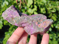 Natural Stichtite and Serpentine Specimens x 6 From Barberton, South Africa