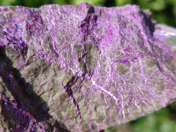 Natural Stichtite and Serpentine Specimens x 6 From Barberton, South Africa