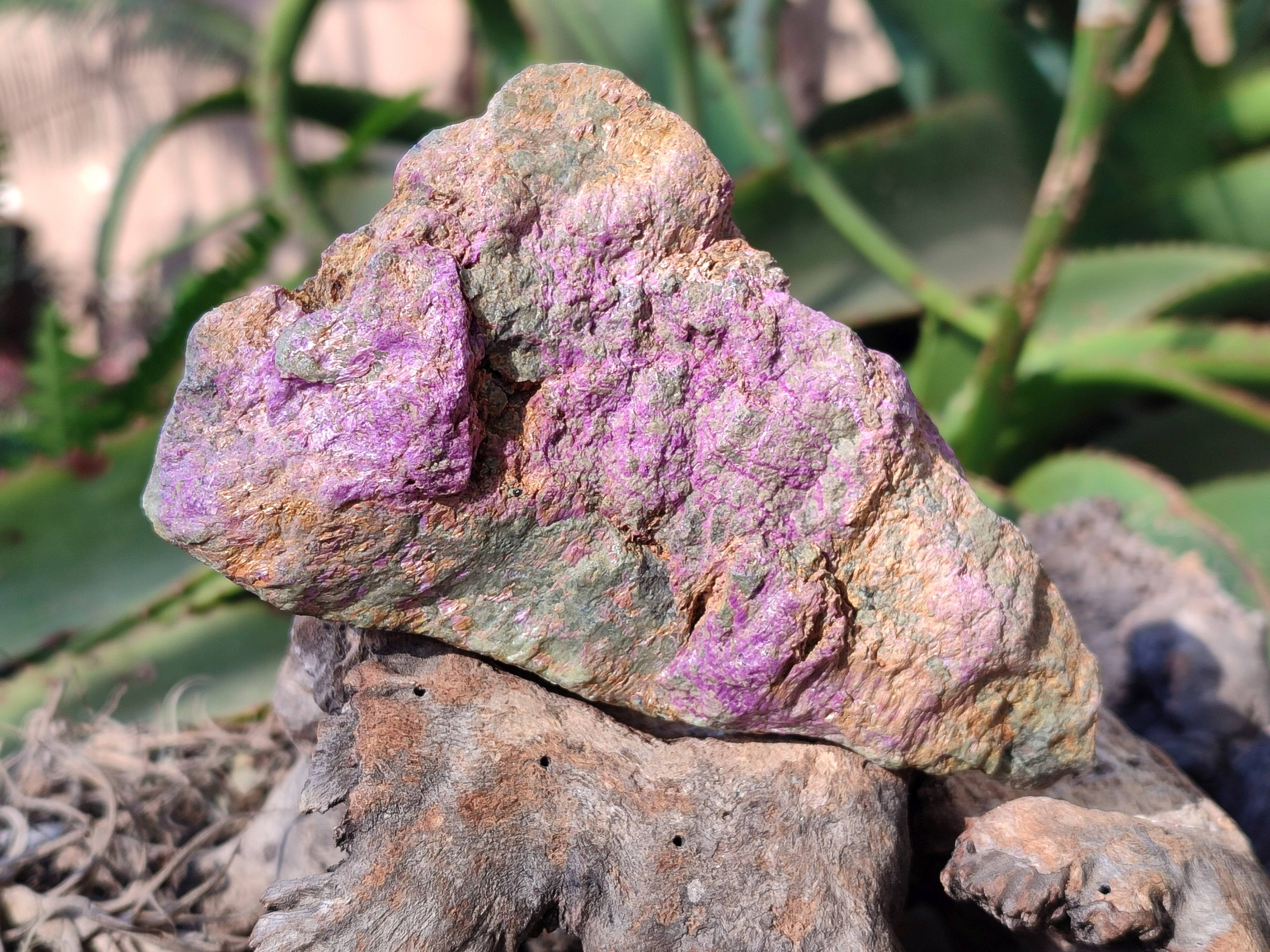 Natural Stichtite and Serpentine Specimens x 6 From Barberton, South Africa - Toprock Gemstones and Minerals 