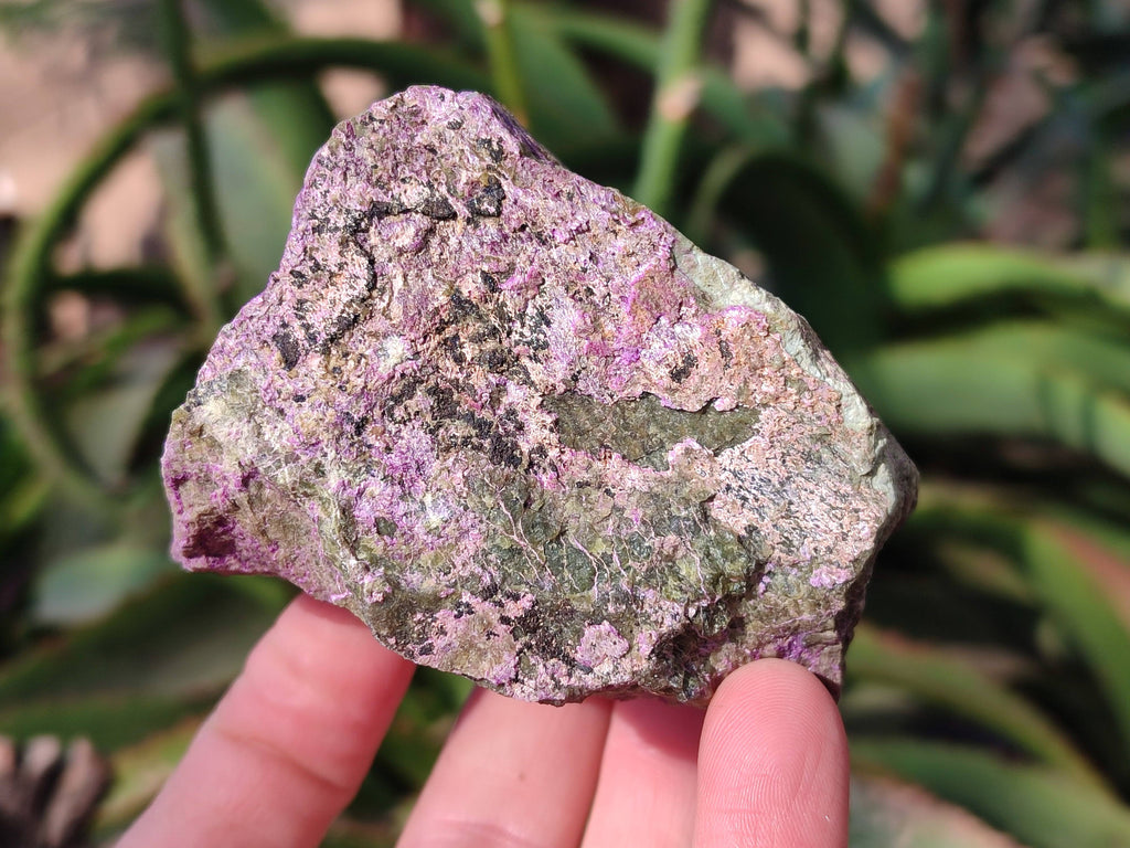 Natural Stichtite and Serpentine Specimens x 6 From Barberton, South Africa - Toprock Gemstones and Minerals 