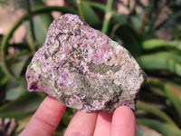 Natural Stichtite and Serpentine Specimens x 6 From Barberton, South Africa