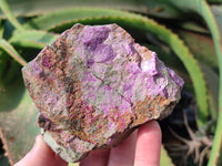 Natural Stichtite and Serpentine Specimens x 6 From Barberton, South Africa