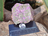 Natural Stichtite and Serpentine Specimens x 6 From Barberton, South Africa