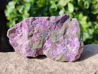 Natural Stichtite and Serpentine Specimens x 6 From Barberton, South Africa