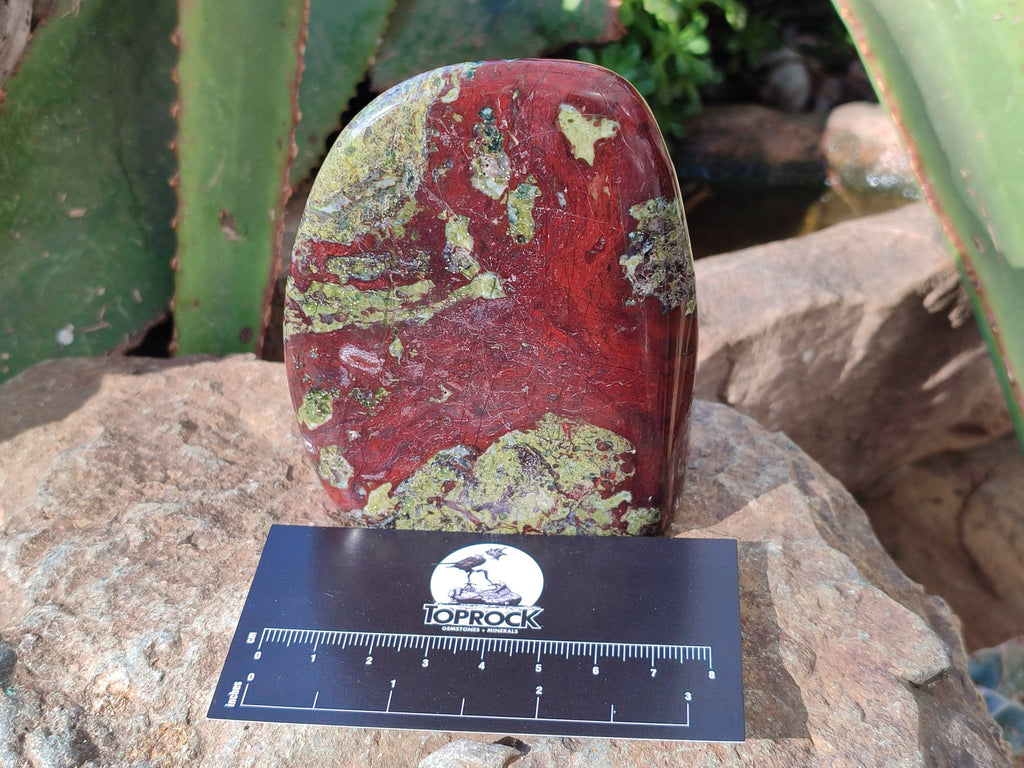 Polished Bastite Dragon Bloodstone Standing Free Forms x 3 From South Africa - Toprock Gemstones and Minerals 