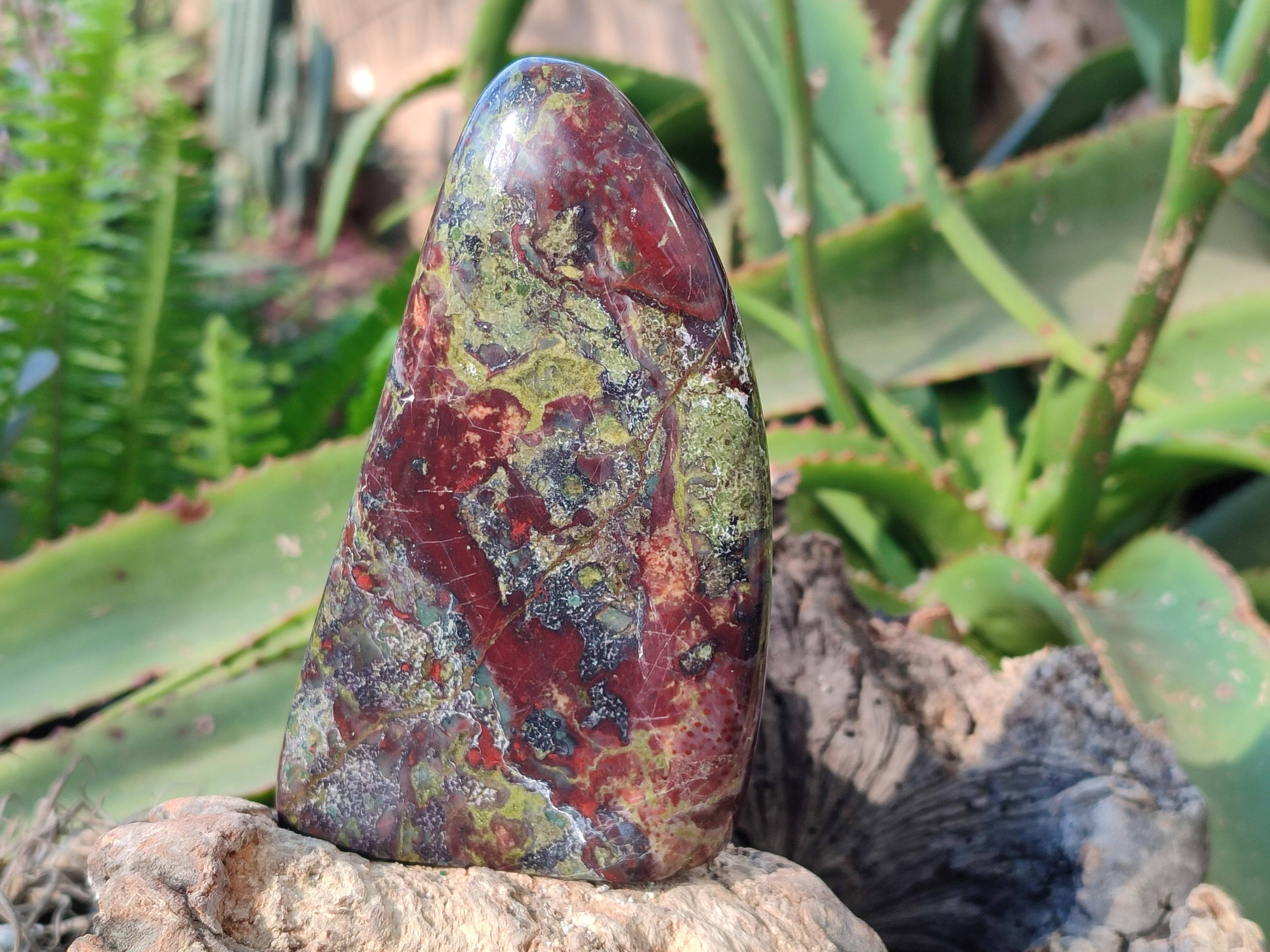 Polished Bastite Dragon Bloodstone Standing Free Forms x 3 From South Africa - Toprock Gemstones and Minerals 